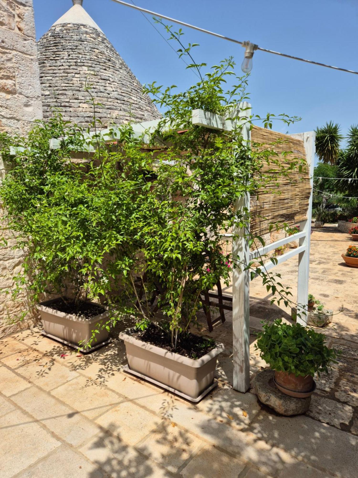 Il Trullo Di Nonna Lella Landhaus