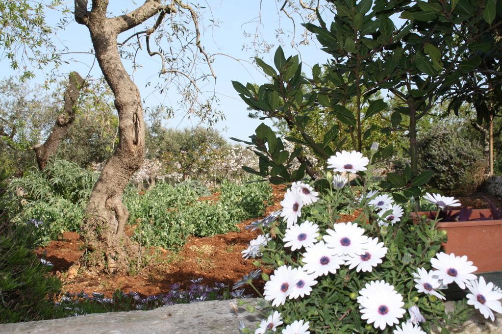 Landhaus Il Trullo Di Nonna Lella Castellana Grotte