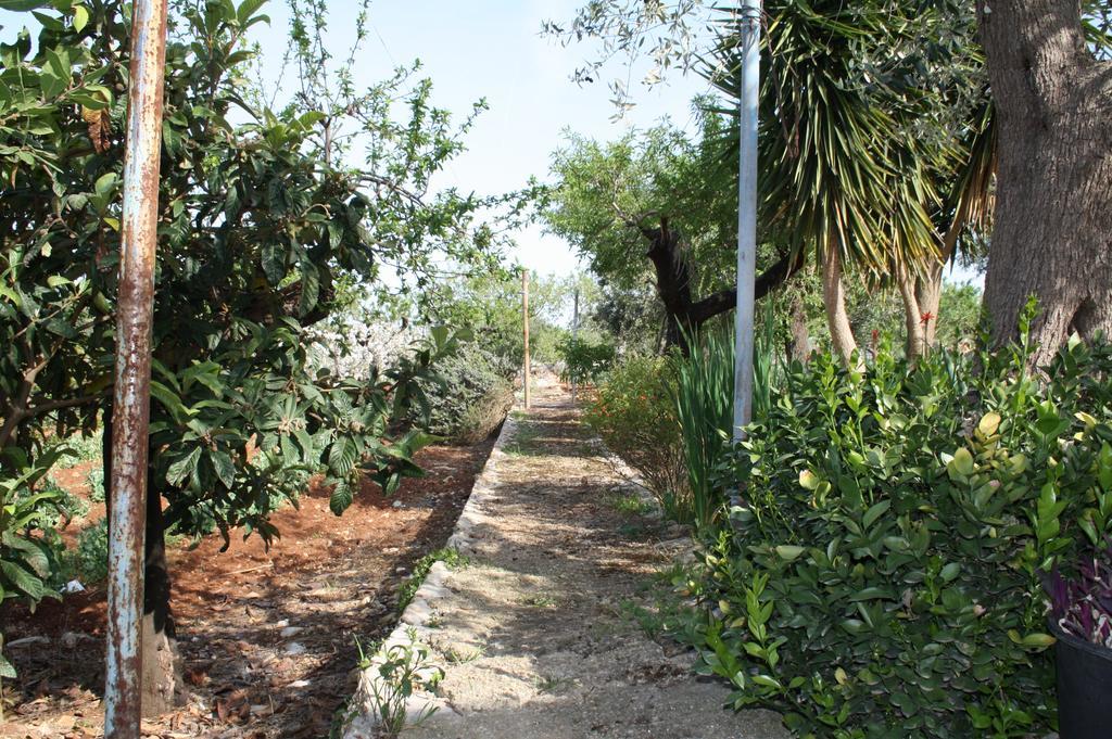 Il Trullo Di Nonna Lella Landhaus Castellana Grotte