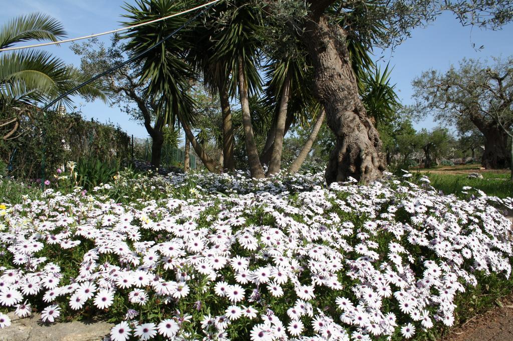 Il Trullo Di Nonna Lella