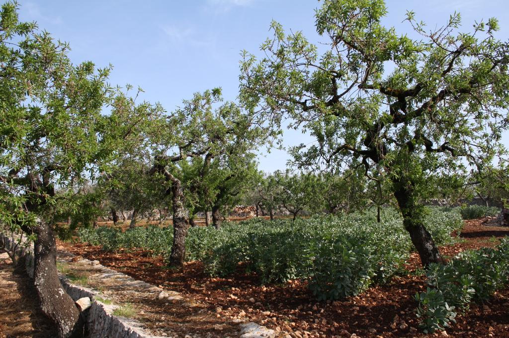 Country house Il Trullo Di Nonna Lella Castellana Grotte